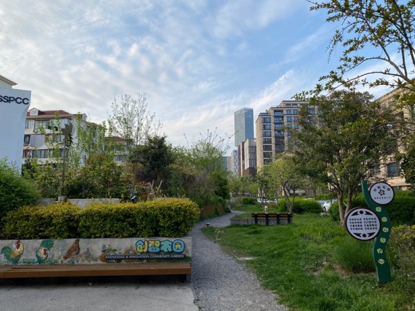在线配资炒股开户服务 居民参与营造社区花园，用花草和泥土凝聚人心